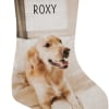 Shutterfly Pet Photo Stocking
