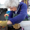 Maine’s 102-year-old ‘lobster lady’ shows no sign of slowing down