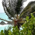 Hurricane Fiona pummels Bermuda as new storm brews in the Gulf
