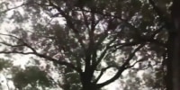 First Hurricane Ida death reported in Louisiana