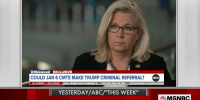Jan. 6 panel could make multiple criminal referrals to DOJ, says Rep. Cheney