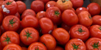 Drought puts tomatoes (and tomato products) at risk for shortages