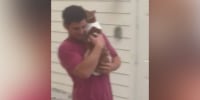 Man braves rushing water to rescue cat during Hurricane Ian