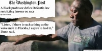 ‘I was teaching before he was born’: professor slams DeSantis for quashing Black history education