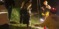 Watch: Firefighters rescue dog that fell down 30-foot hole