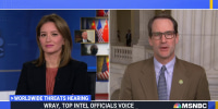 Rep. Himes on Tiktok: Social media has 'changed the dynamic in very scary ways'
