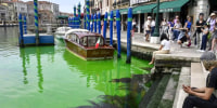 Venice’s Grand Canal turned green — and no one knows why