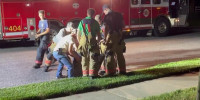 Firefighters reunite mother deer with fawn who fell down drain
