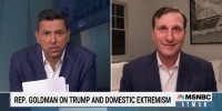"Weed Out Extremists Within Your Ranks": Rep. Dan Goldman to DHS