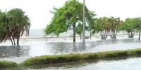 FEMA assistance for migrant families after Idalia storm damage