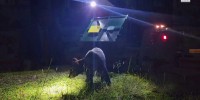 Bear captured at Disney World is released back into the wild