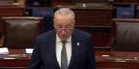 ‘It just looked pathetic...’ Rep. Becca Balint on Sen. Schumer's spending bill flip-flop