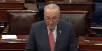 ‘Chuck Schumer is not willing to be in the driver's seat’: Ameshia Cross on Sen. Schumer's leadership