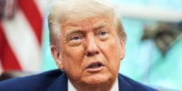 Trump is 'treating people like they're stupid' with tariffs