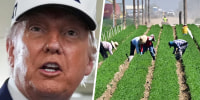 Soybean farmer hits back at Trump admin's Argentina bailout: 'I want trade, not aid'