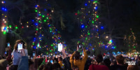 Good News: Altadena’s ‘Christmas Tree Lane’ returns after L.A. wildfires
