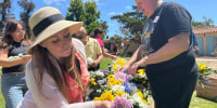 San Diego park's international cottages offer a model of unity amid global wars