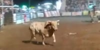 Video captured by an audience member shows the moment a bull charged into the stands at 'That Famous Preston Night Rodeo' in Preston, Idaho. No one was hurt in the incident.