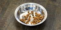 Midwestern Pet Foods is recalling numerous brands of pet food on grounds it may be causing Salmonella poisoning.