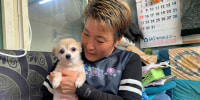 Image: Kim Gea-yeung, manager of an animal shelter for abandoned dogs and cats, holds Jin-hui, a five-year-old Pomeranian dog, who was rescued in Anseong, South Korea