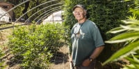 Manning, a cannabis cultivator in Humboldt County, Calif., also works as a volunteer fire chief.