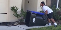 Eugene Bozzi grabbed a trash can when he was told a gator was lying just outside his neighbor's front door in Orange County, Fla.