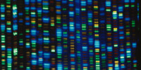A digital display of DNA coding.