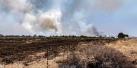 The Calf Canyon/Hermit Peak Fire has left burned fields and forest along NM 283 near Las Vegas, N.M., on May 5, 2022.