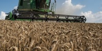 Image: Grain Harvest Continues In Ukraine After Export Deal