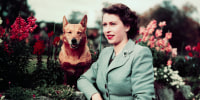 Queen Elizabeth in Garden with Dog