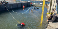 A dive team search the wreckage of a sunken ship in Matanza's Pass, Fort Myers, Fla., on Jan. 13, 2023. 