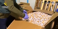 Spanish police raid illegal tobacco factories accused of exploiting Ukrainian refugees.