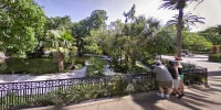 The Alligator Habitat at Busch Gardens in Tampa, Fla.