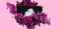 photo illustration/collage of a photo of a man in a bush of flowers surrounded by dragon flys on a pink background. 