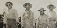 “Sakadas,” or Filipino laborers, in an undated photo.