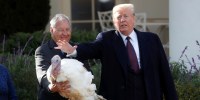 U.S. President Trump pardons Thanksgiving turkey "Peas" during ceremony at White House in Washington tradition