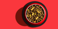 Pet food over a red background