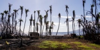Recovery efforts continue after the August wildfire that swept through the Lahaina community on Hawaiian island of Maui, the deadliest U.S. wildfire in more than a century. 