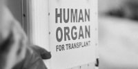 A human organ transplant box in a hospital