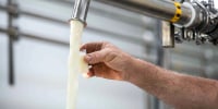 Farmer taking a raw milk sample in a container from a faucet