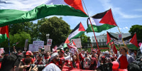 Pro-Palestinian demonstrators rally Israel's actions in Gaza