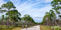 Dos personas montan en bicicleta en Park Drive, en el parque estatal Jonathan Dickinson, en Florida. 