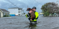 A member of the Wilmington, N.C., fire department rescues a dog from floodwaters on Monday, Sept. 16, 2024.