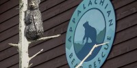 The Appalachian Bear Rescue sign
