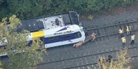 A train on a track is stopped in front of a fallen tree part