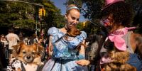 People and their dogs in costume 