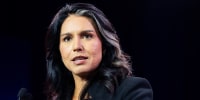 tulsi gabbard politics political politician