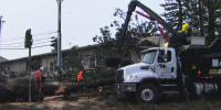 Crews clean up after the National Weather Service said a tornado touched down in Scotts Valley, Calif., in Santa Cruz County.