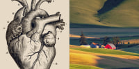 Split image of anatomical heart and a barn in a rural area. 