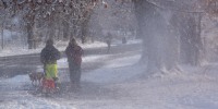 People and their pets in the snow